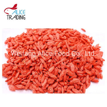 Factory Price Dried Gojiberry Preserved Goji Berry Natural Ningxia Gojiberry